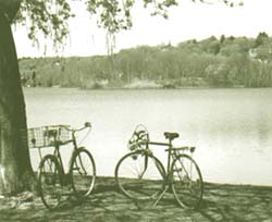 Bikes near lake